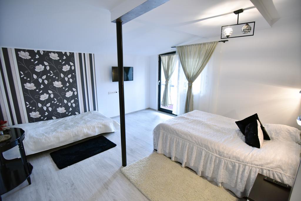 Pensiunea Casa Elena Agnita 部屋 写真