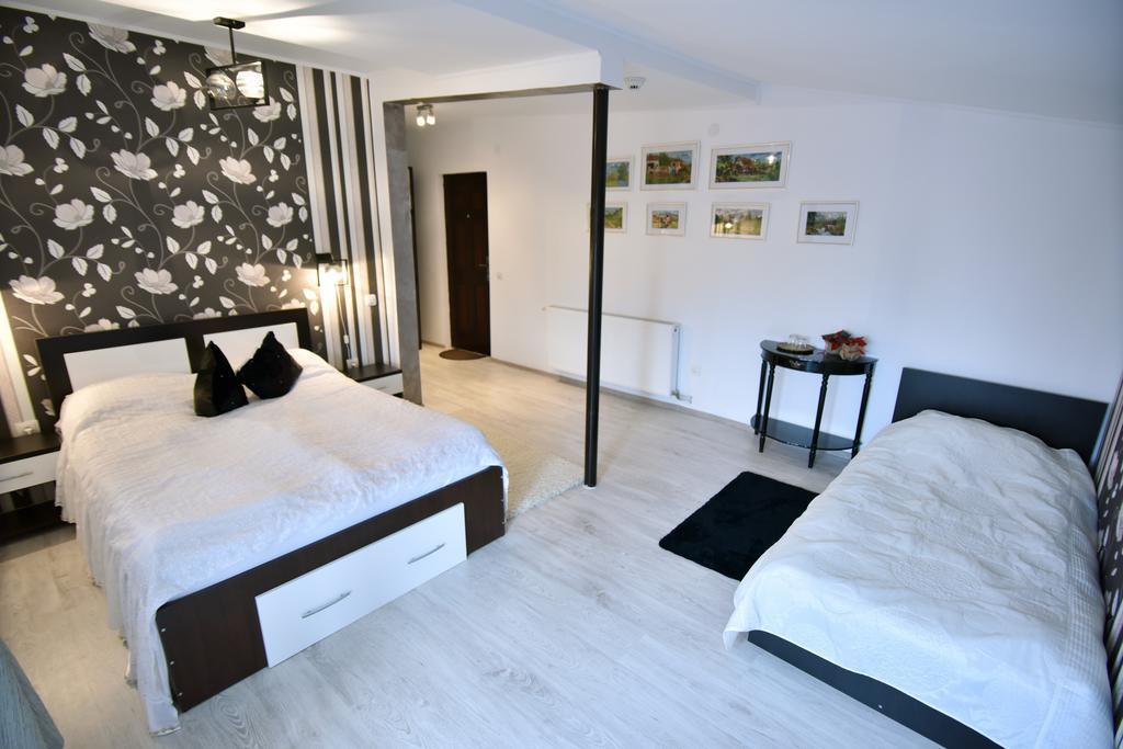 Pensiunea Casa Elena Agnita 部屋 写真