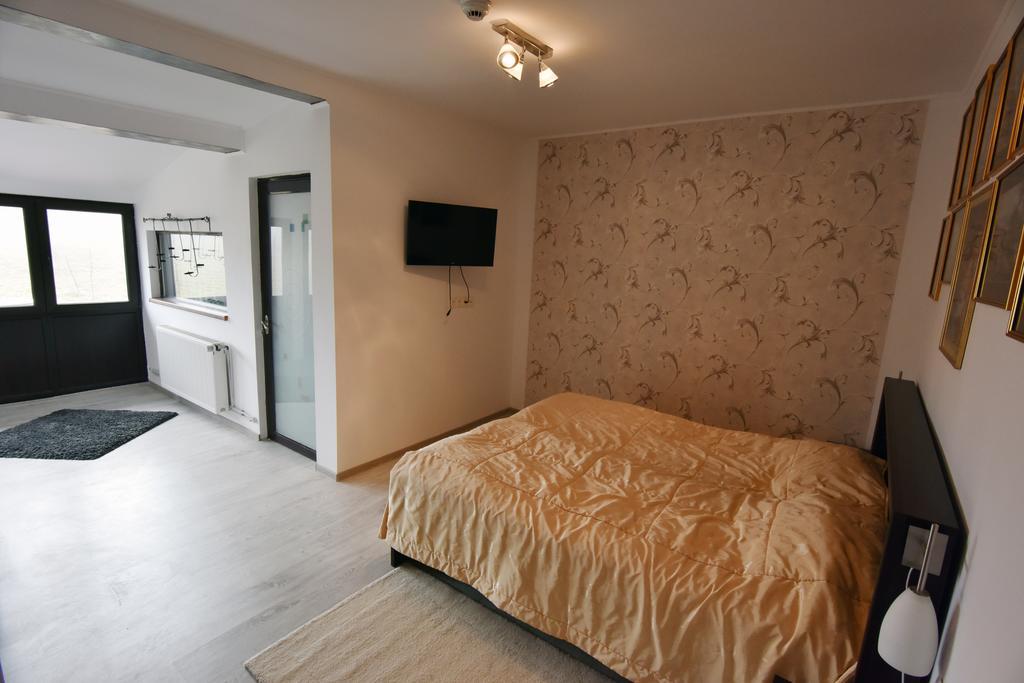 Pensiunea Casa Elena Agnita 部屋 写真