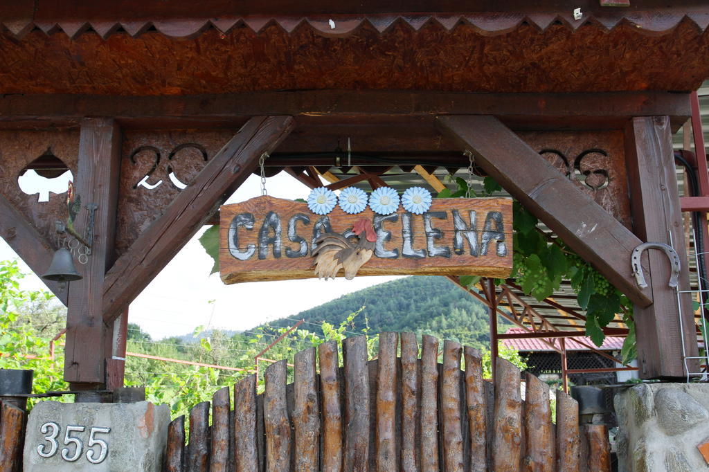 Pensiunea Casa Elena Agnita エクステリア 写真