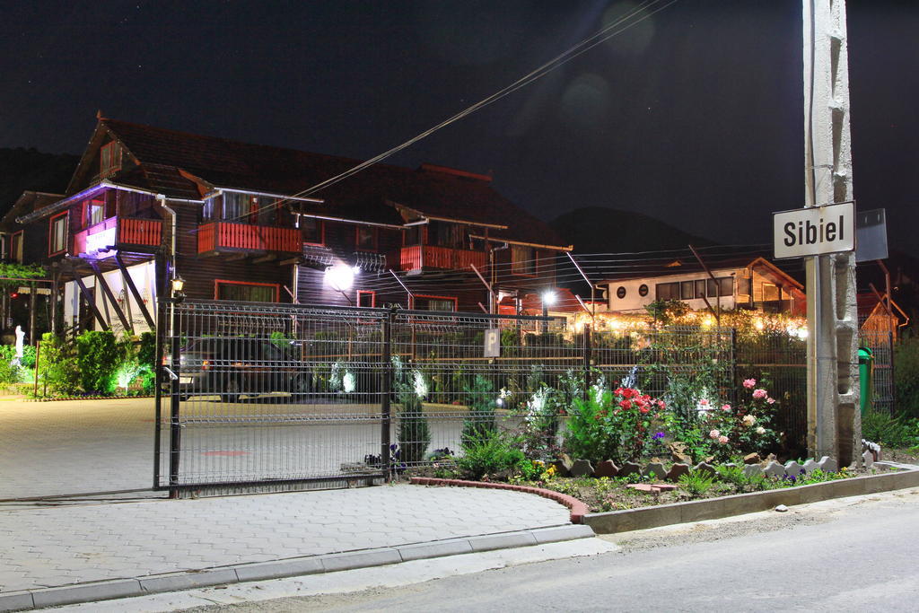 Pensiunea Casa Elena Agnita エクステリア 写真