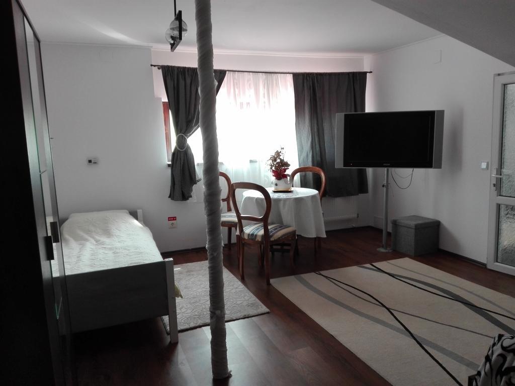 Pensiunea Casa Elena Agnita エクステリア 写真